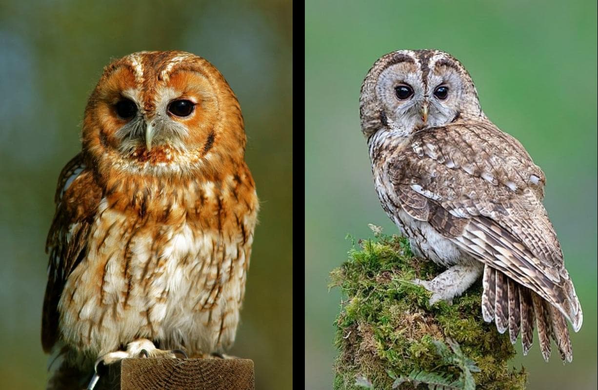 698bee2c1242bd1300a04a7d